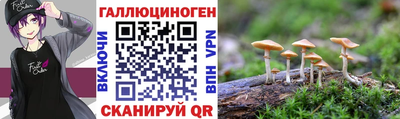 Галлюциногенные грибы Cubensis Купить где Алупка