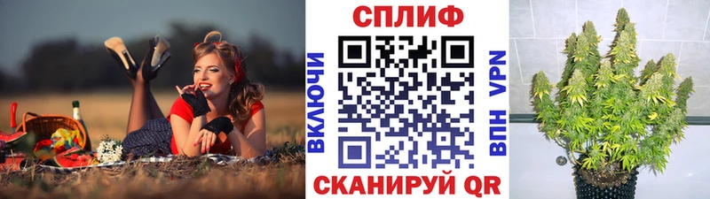 Купить где Алупка Марихуана White Widow